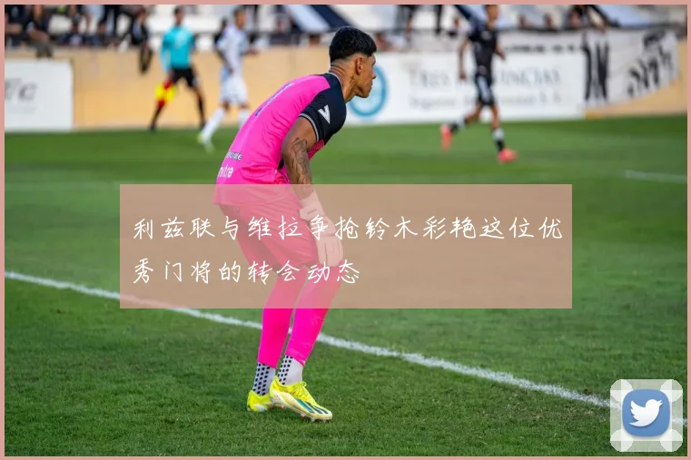 利兹联与维拉争抢铃木彩艳这位优秀门将的转会动态